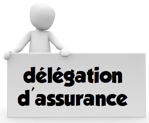 assurance delegation